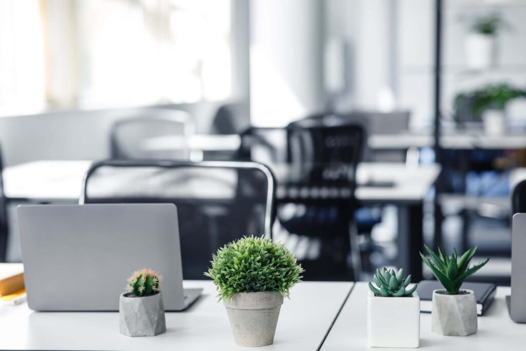Modern office workspace with laptops and plants, representing CO3 Nucleus Service for efficient business management